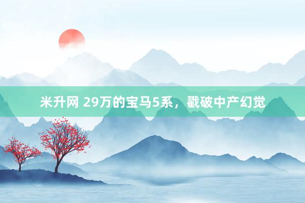 米升网 29万的宝马5系，戳破中产幻觉