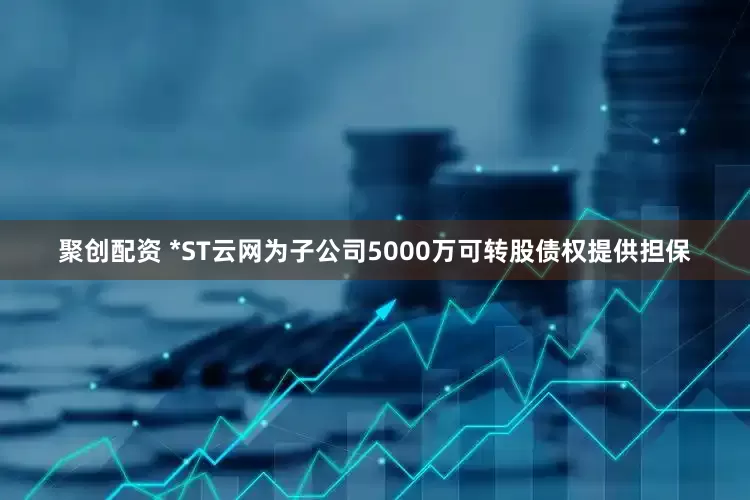 聚创配资 *ST云网为子公司5000万可转股债权提供担保